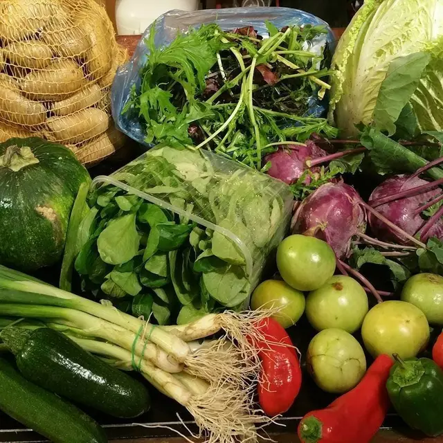 AMAP - A Tout Bio_Martigues