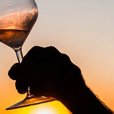 SEMI-RIGIDE - Sunset apéritif en mer