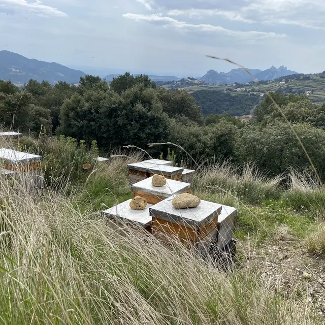 Le Rucher des Dent'Ailes_La Roque-Alric