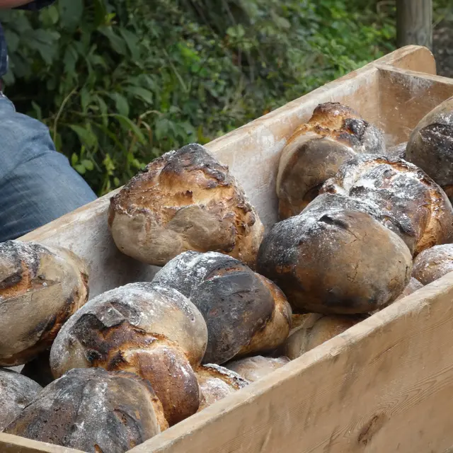 Secrets et découvertes du pain avant sa mise au four_Cordon