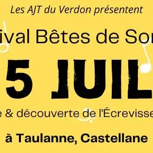 Festival AJT - 