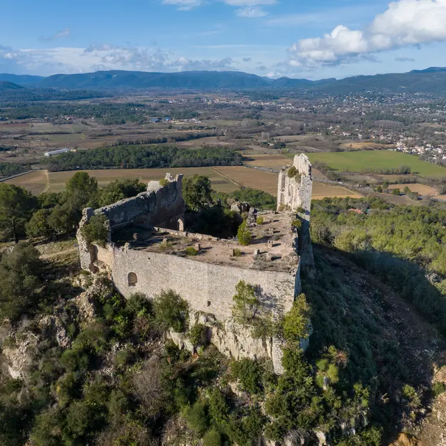 Au pied du Castellas_Forcalqueiret