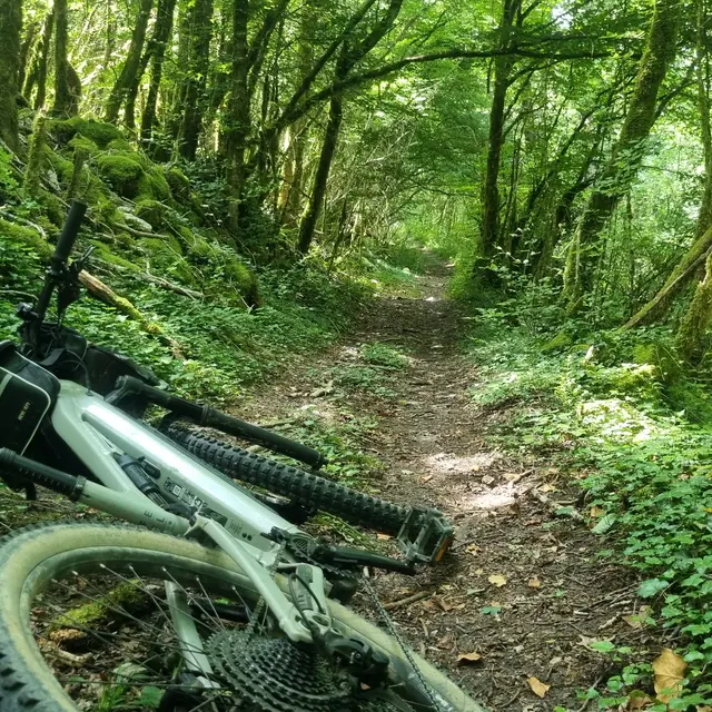 Circuit VTT n°7 (rouge) - Drom - Villereversure_Simandre-sur-Suran