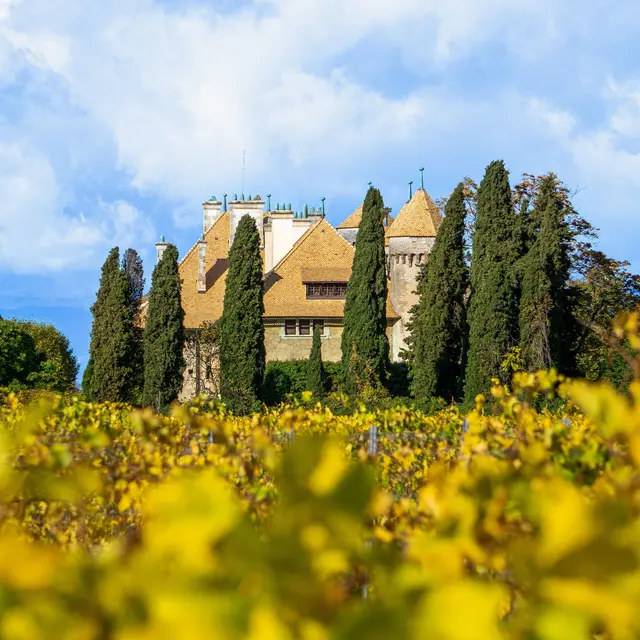 Exposition - Dans l'oeil du photographe_Thonon-les-Bains