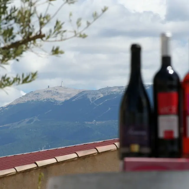 Domaine Bernard_Saint-Romain-en-Viennois