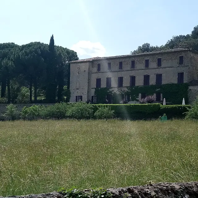 Le Chateau à St Sébastien d'Aigrefeuille_Saint-Sébastien-d'Aigrefeuille