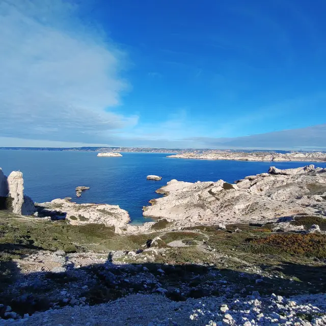 Site de plongée de l'Archipel du Frioul_Marseille