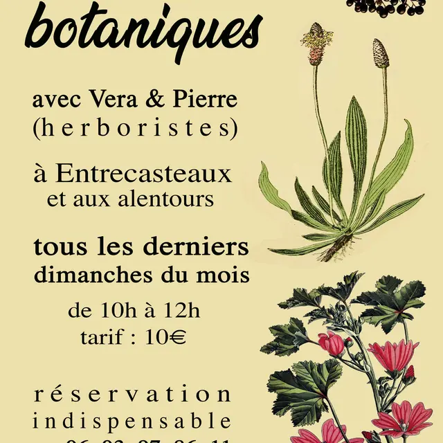 Balade botanique commentée_Entrecasteaux
