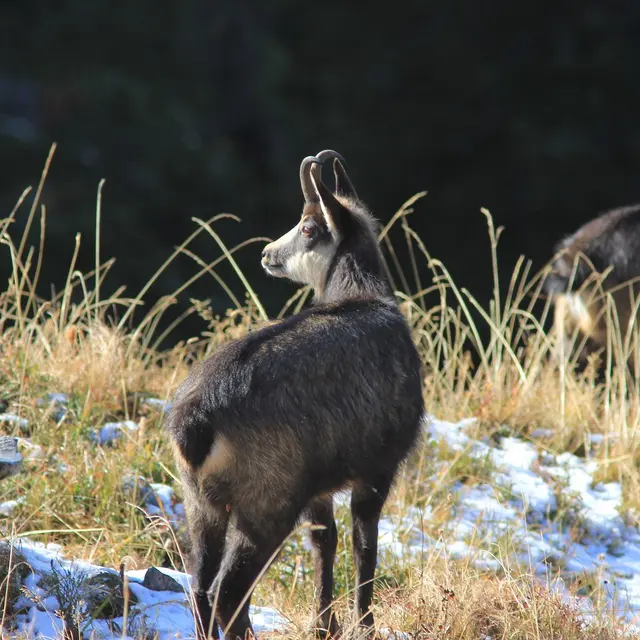 sorties montagnes avec Maxime