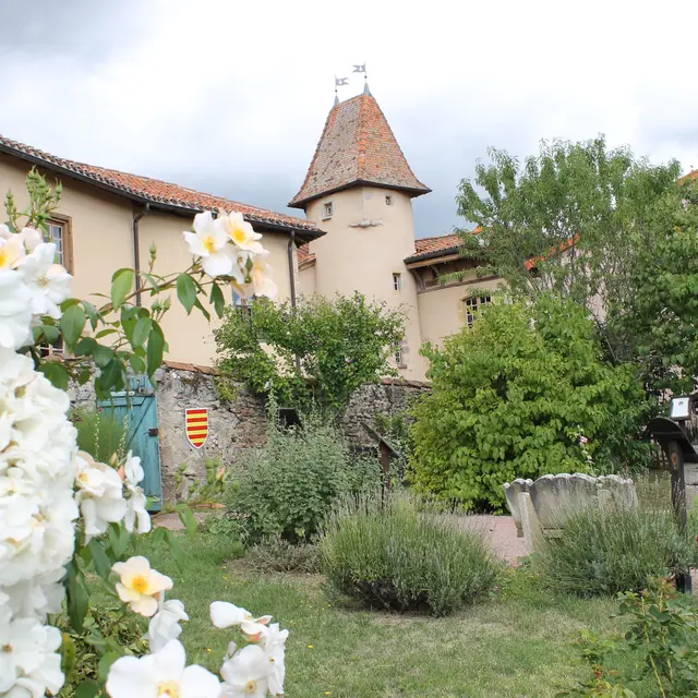Jardin du Moyen-Âge et quartier de Palerne.JPG