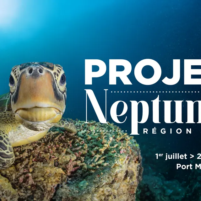 Projet Neptune : une odyssée sous-marine méditerranéenne accessible pour tous_La Londe-les-Maures
