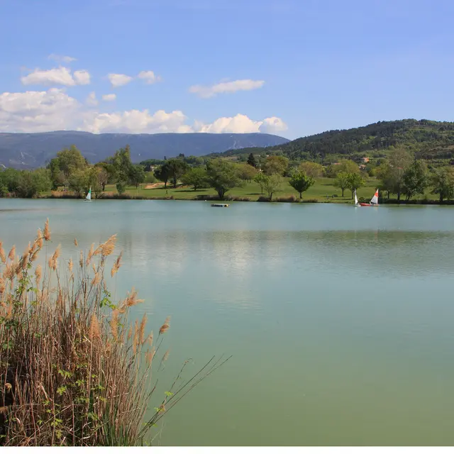 Plan d'eau de la Riaille