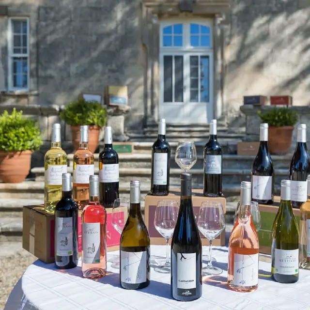 Domain Attilon Arles