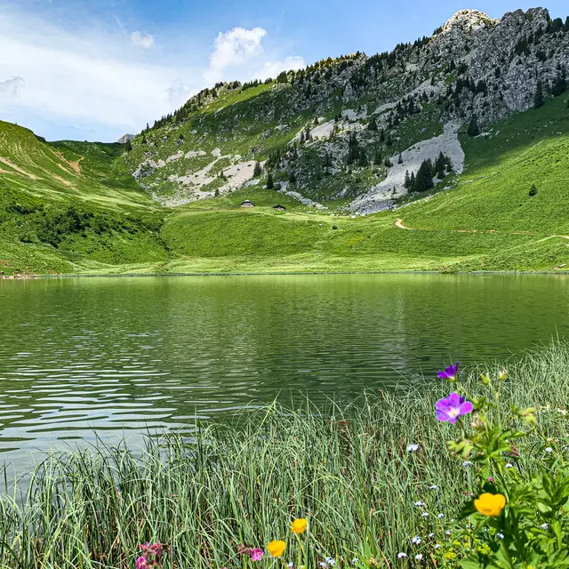 Randonnée accompagnée au lac d'Arvouin