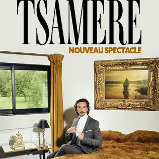 Spectacle : Arnaud Tsamere_Angers
