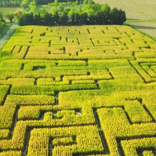 Murder party acte 2 au Labyrinthe les Hautes Herbes_Entraigues-sur-la-Sorgue