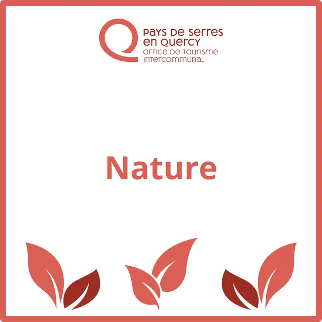 Découverte chants d’oiseaux_Montaigu-de-Quercy