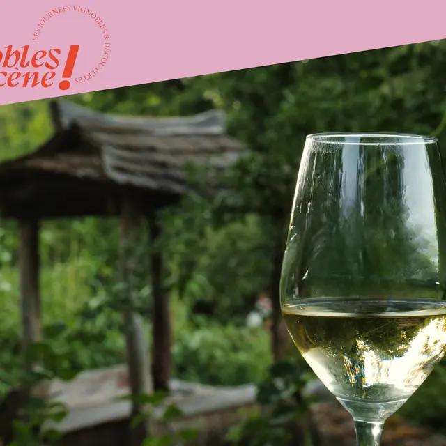 Déjeuner gourmand au Jardin Zen_Beaumont-Monteux