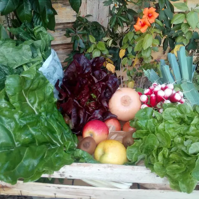 les paniers du bruguede