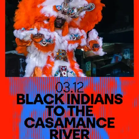 Festival Africolor - Concert - Black Indians to the Casamance River