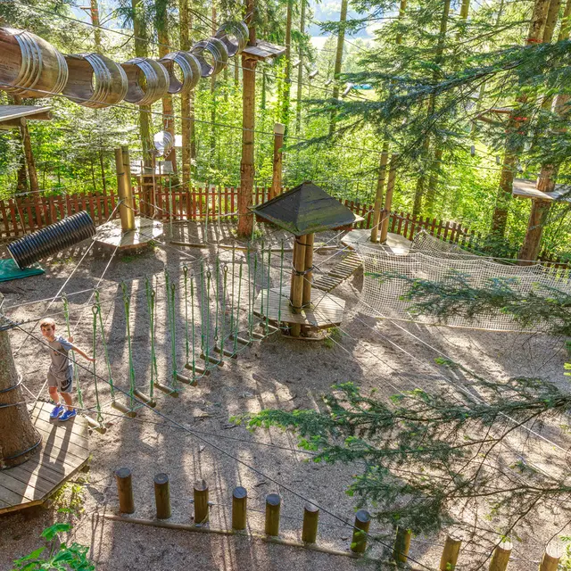 Indian Forest