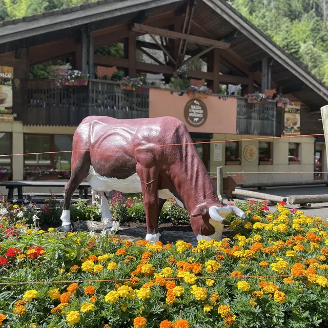 Maison du Fromage Abondance