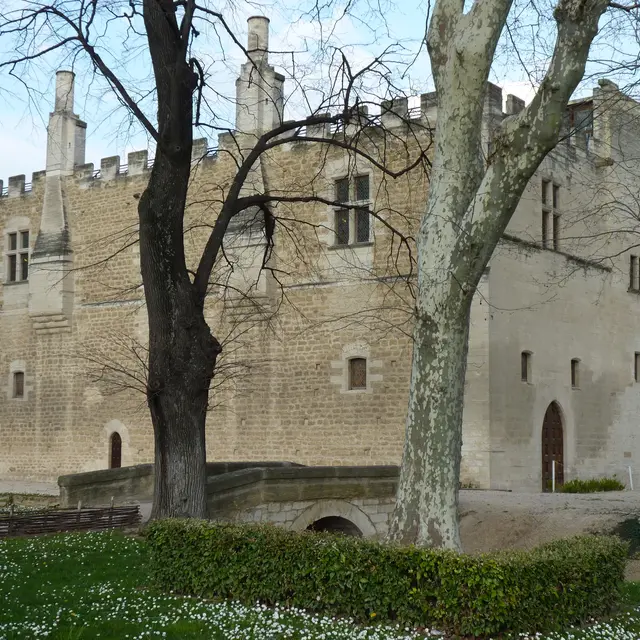 Chateau de Fargues