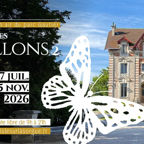 Nicolas Eres — Papillons 2_L'Isle-sur-la-Sorgue