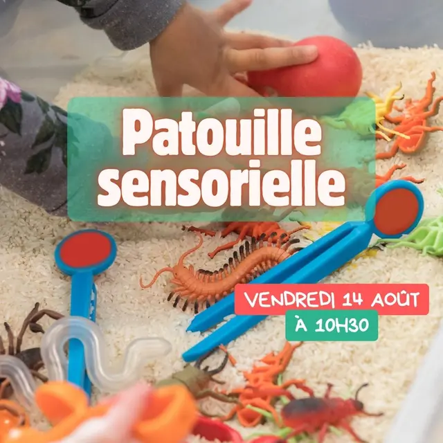 Atelier : Patouille sensorielle_La Couarde-sur-Mer