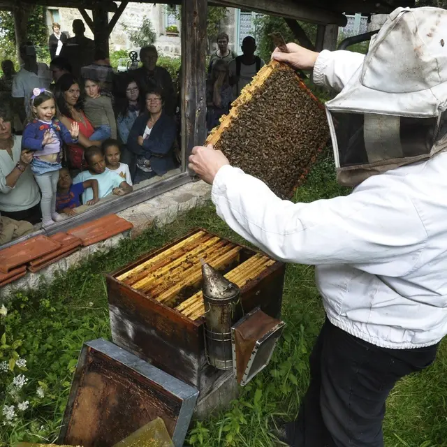 La Cité de l'Abeille