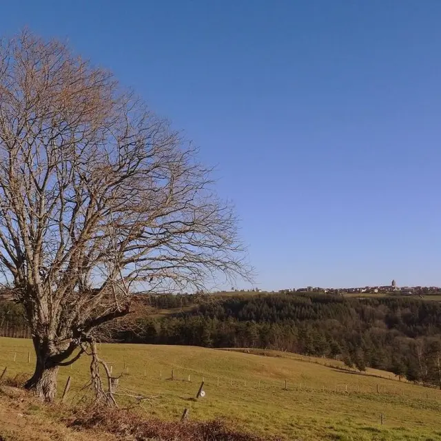 circuit le huit de Rozier