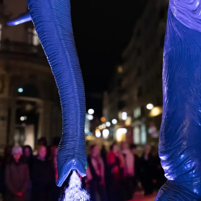 Concert : Au coeur du choeur... Chambéry la nuit_Chambéry