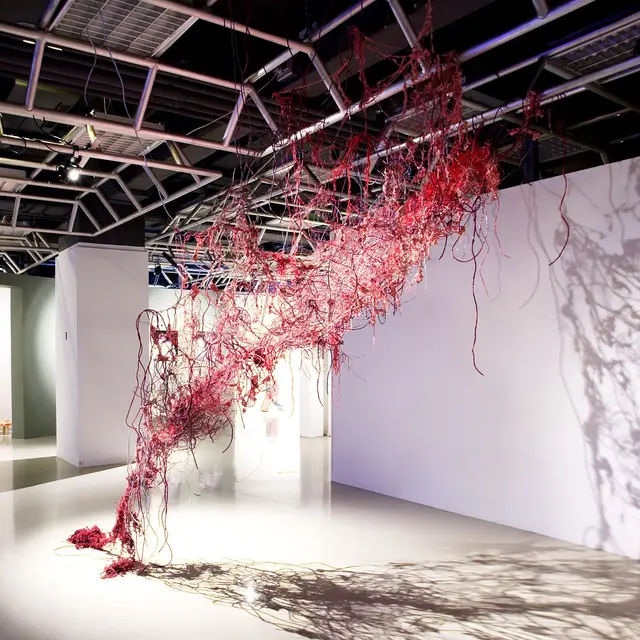 Espace Entrée libre_Saint-Maximin-la-Sainte-Baume