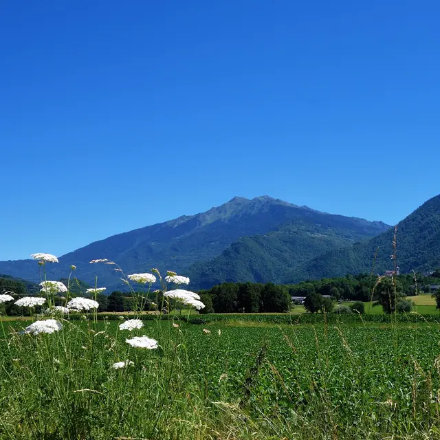 La Mauriennaise