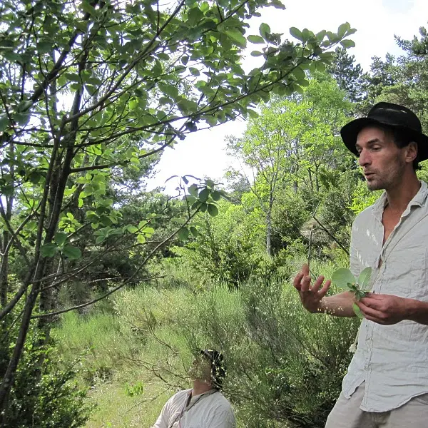 SORTIE ETHNOBOTANIQUE A SALAGON_Mane