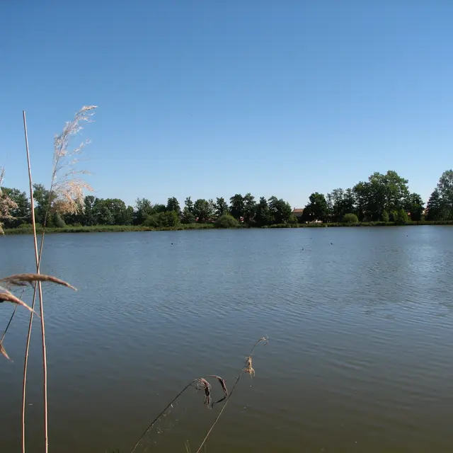Ma(r)ons-nous - Les RDV Nature du Département_Saint-Just Saint-Rambert
