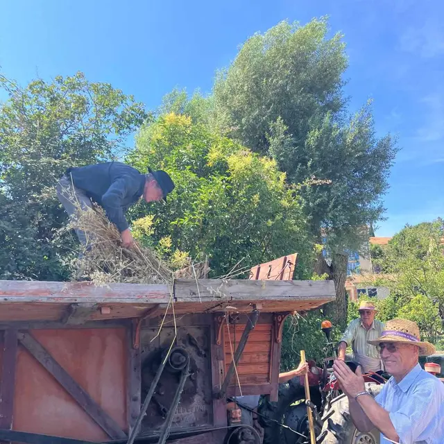 La batteuse en action