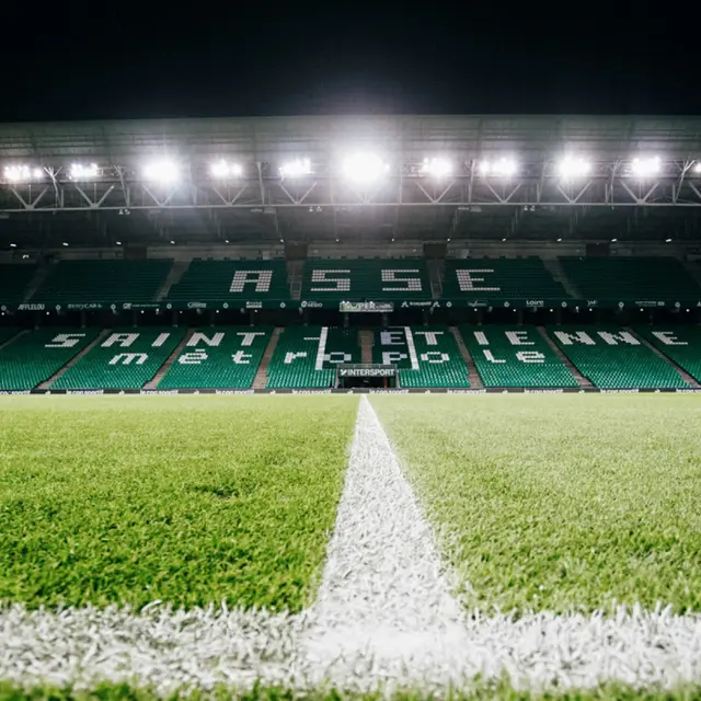 Spectacle - Fou des Verts_Saint-Étienne