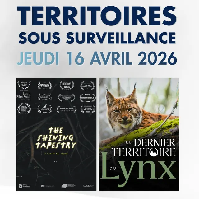 Territoire sous surveillance