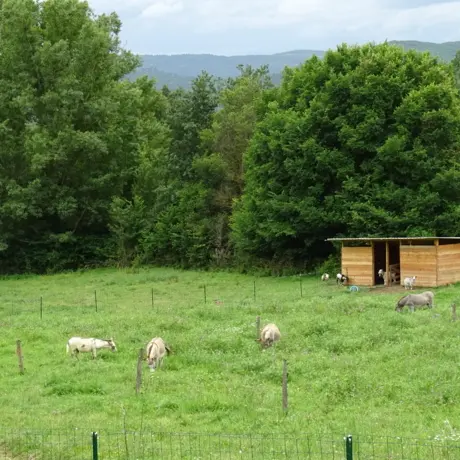 La Ferme de Titou