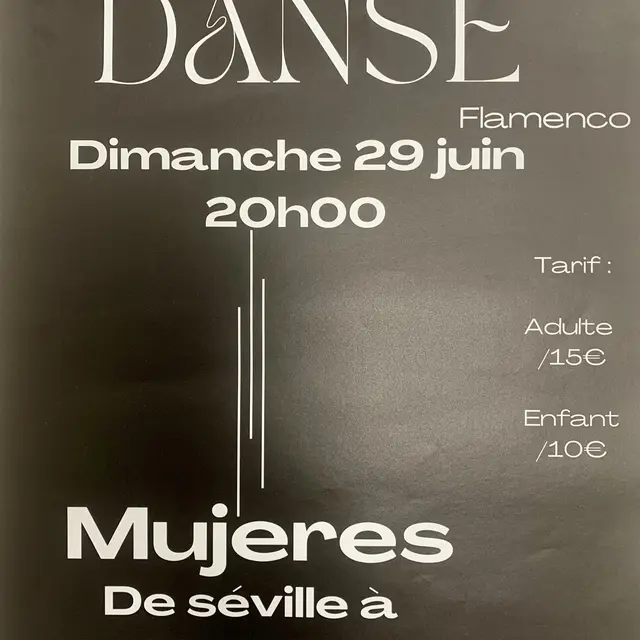 Spectacle de danse flamenco