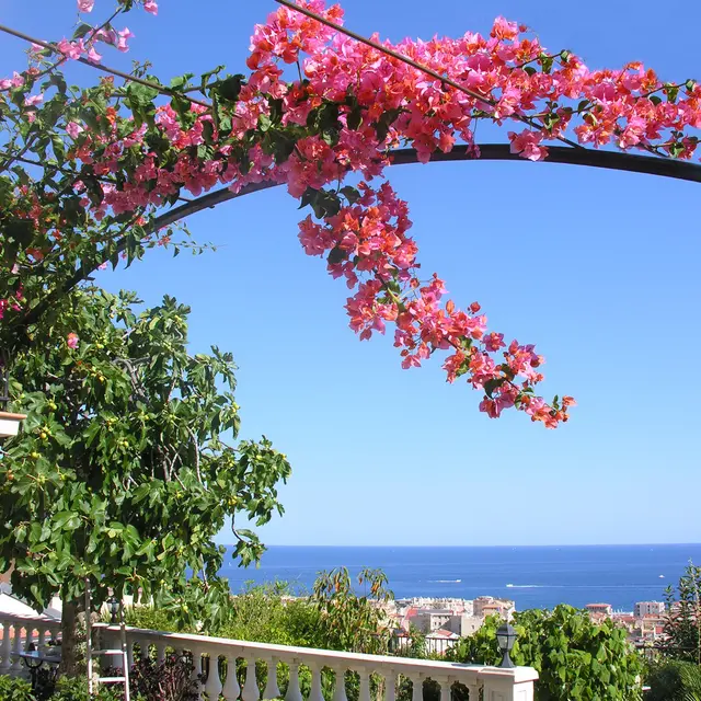 Meublé de Tourisme Rêve d'Azur