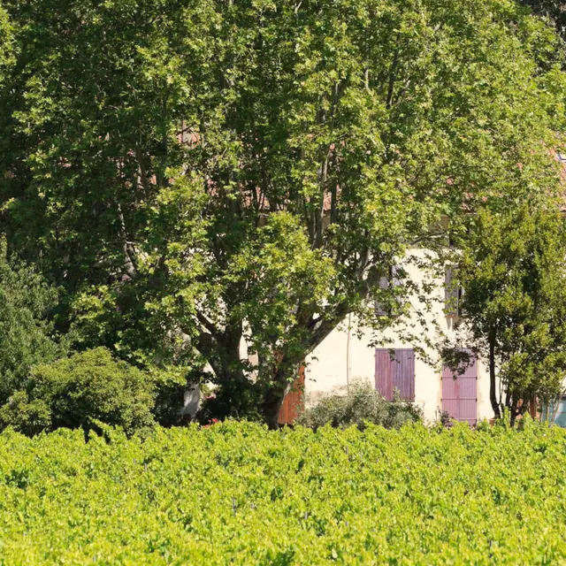 Domaine de la Portanière