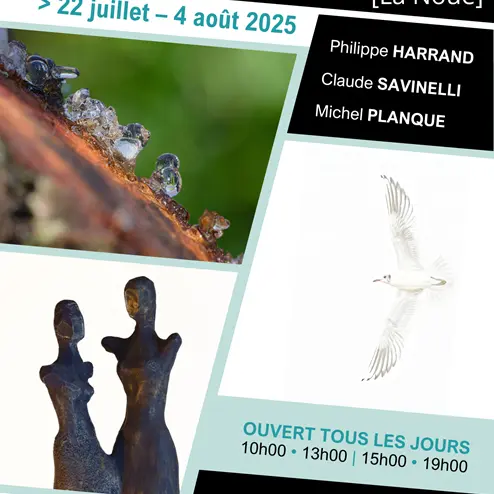 Exposition de Claude SAVINELLI, Philippe HARRAND & Michel PLANQUE à La Petite Ecole_Sainte-Marie-de-Ré