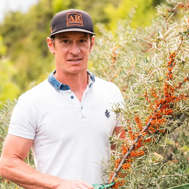 David Viveau - Producteur d'argousier