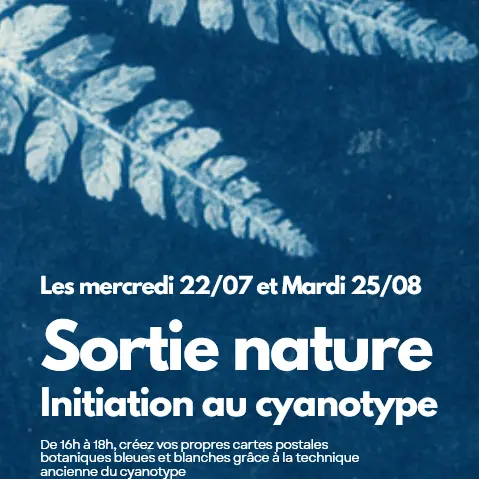 Atelier Nature Initiation au Cyanotype au lac de l'Uby de Cazaubon_Cazaubon