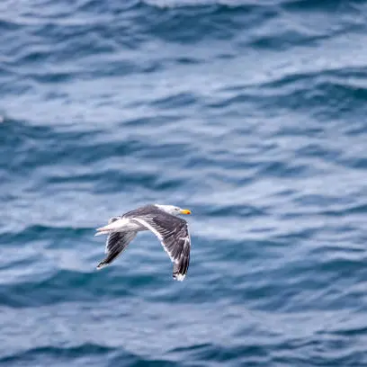 Rallye nature_Saint-Martin-Vésubie