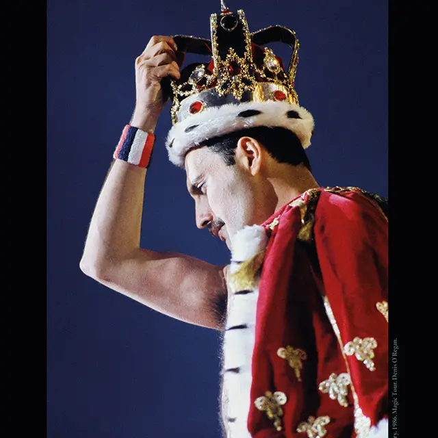 Exposition : Freddie Mercury, ne dis jamais adieu_Saint-Rémy-de-Provence