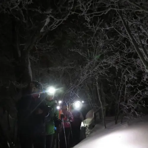 Sorties en raquettes