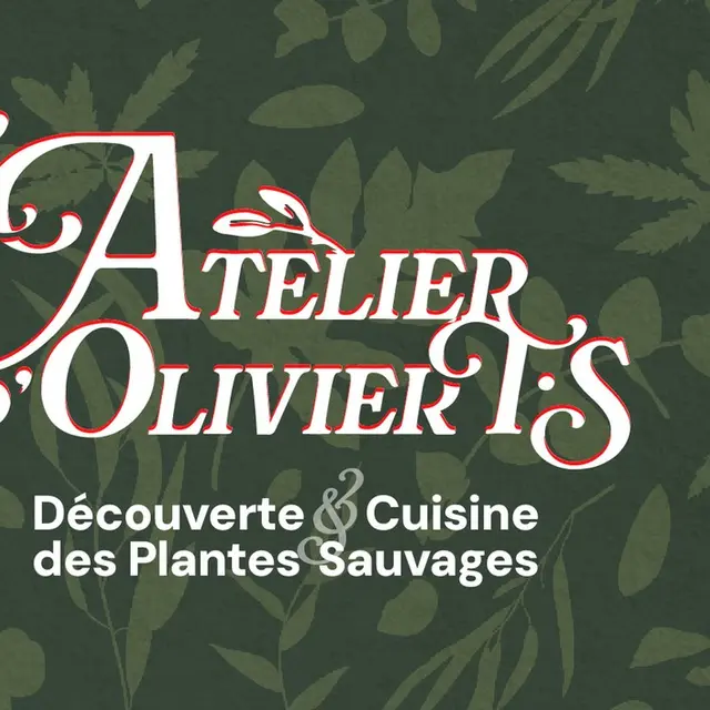 Découverte et Cuisine des Plantes Sauvages_Fontvieille
